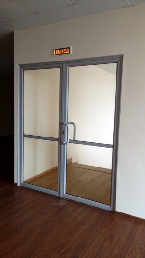 Алюминиевая равнопольная дверь ALT111